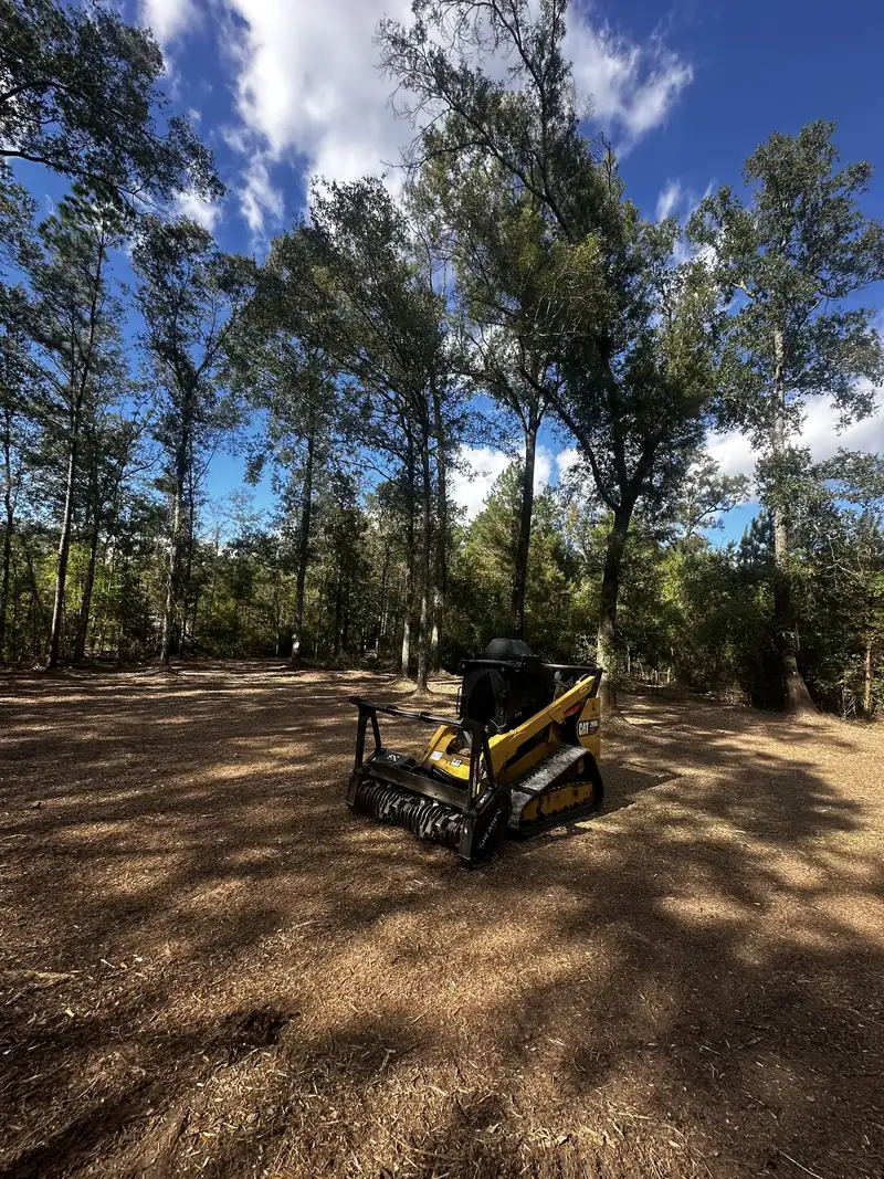 Lot clearing with the forestry mulcher