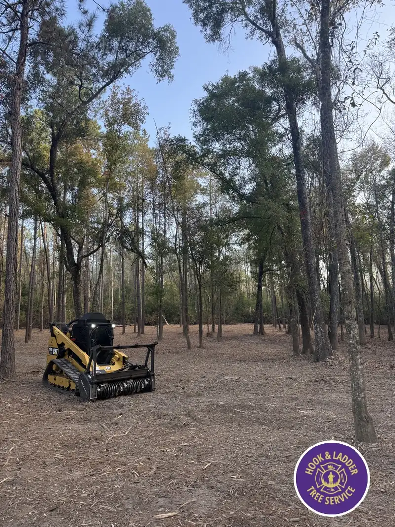 Forestry mulcher parked in a wooded lot after underbrush clearing